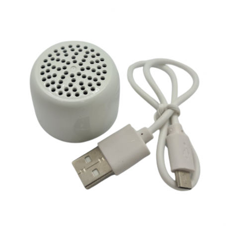 Mini enceinte Bluetooth 2W Pixika Blanc